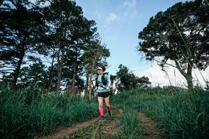 BIB: 
                            <button type="button" onclick="openModal(26042096)" class="btn btn-primary btn-sm float-right btn-popup" data-toggle="modal" data-target=".modal-high-quality">
                        <i class="fas fa-shopping-cart"></i> Add to Cart
                    </button>
                                            <button type="button" onclick="isThisMe(26042096, true)" class="btn btn-success btn-sm float-right btn-popup btn-isme hidden" data-toggle="tooltip" data-placement="bottom" title="นี่คือรูปของคุณใช่ไหม คลิกที่นี่เพื่อเอาเข้าอัลบั้ม">
                        <i class="fas fa-plus"></i> Add to album
                    </button>
                    <button type="button" onclick="isThisMe(26042096, false)" class="btn btn-warning btn-sm float-right btn-popup btn-isnotme hidden">
                        <i class="fas fa-ban"></i> Remove from album
                    </button>